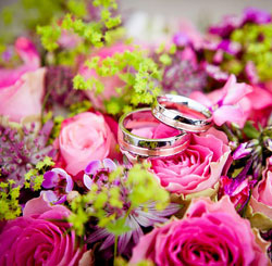 点亮商业未来的免费ddos网页端